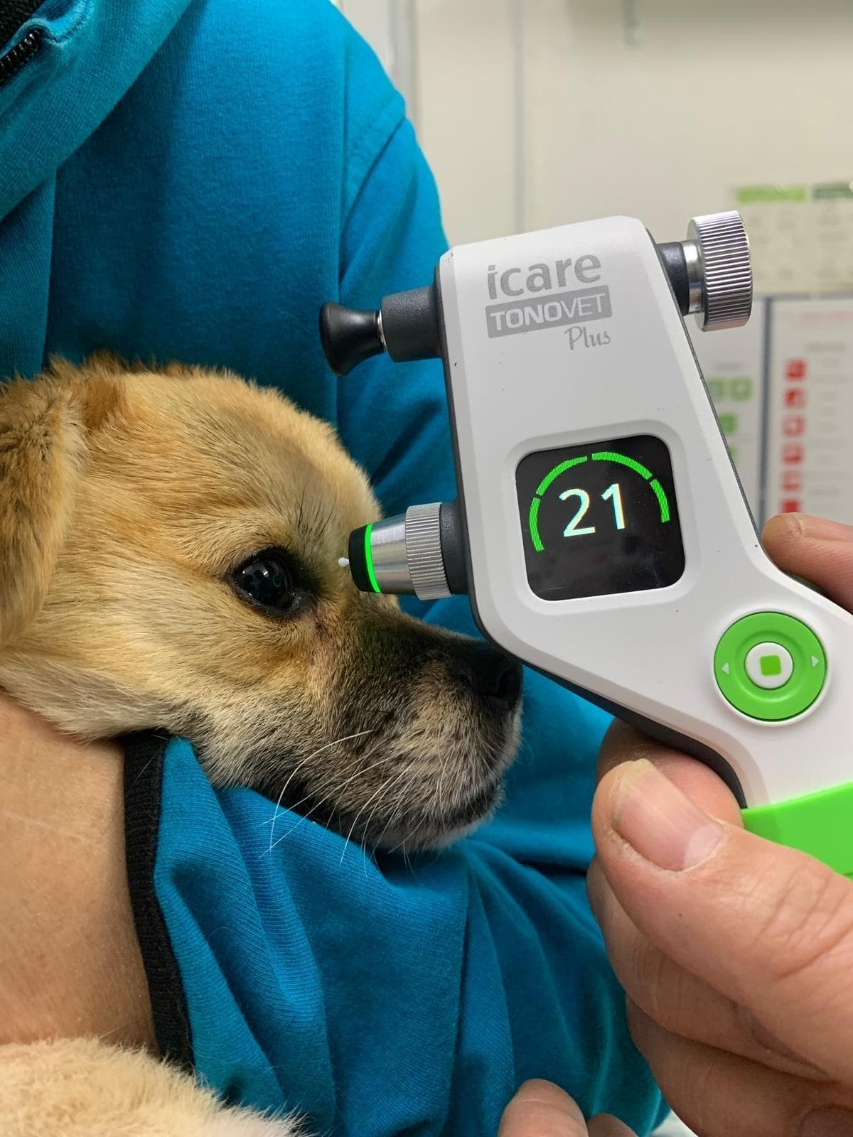 Dr. Barbu Augustin la cabinet veterinar VetPlus