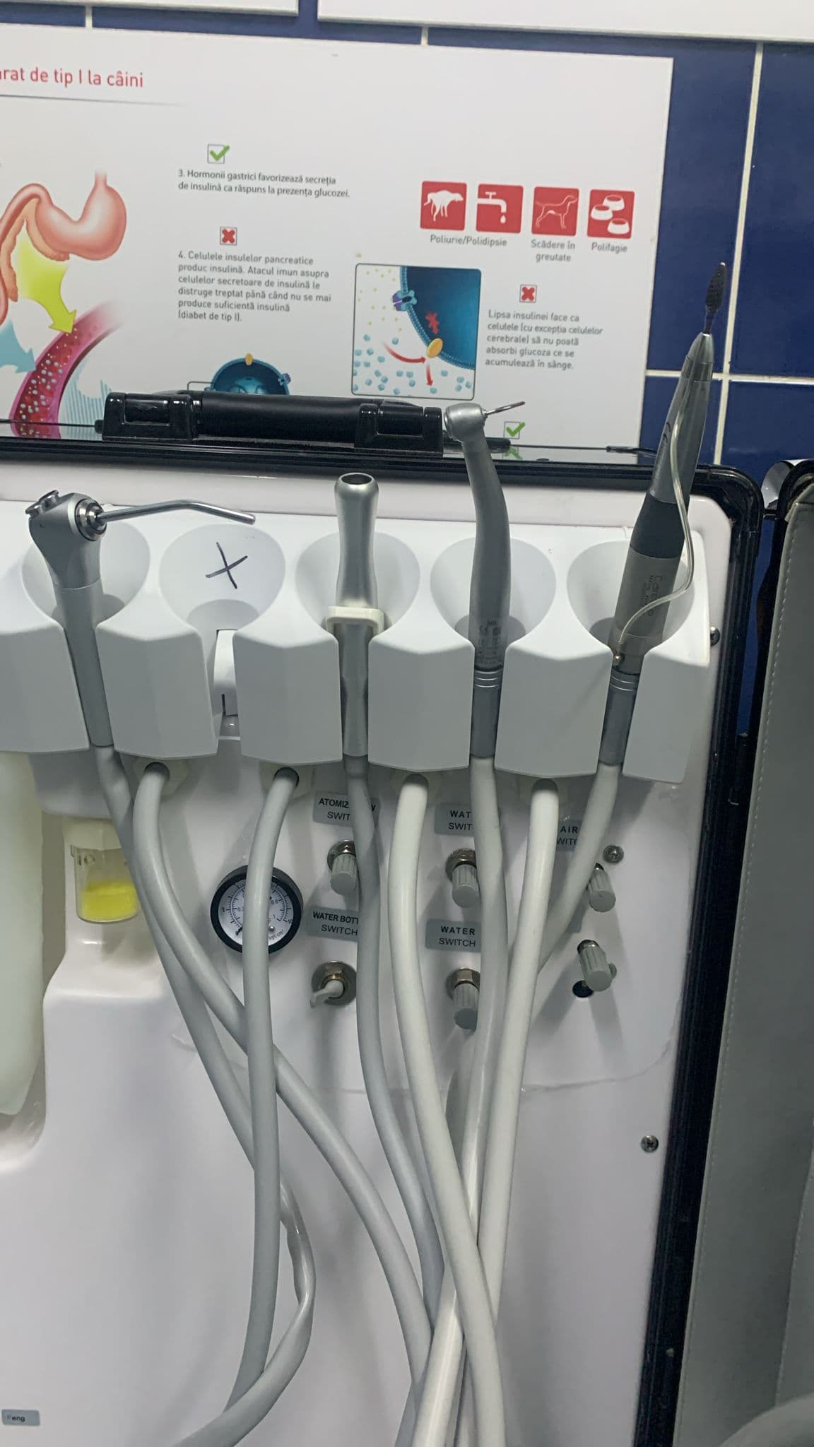 Unit dentar — Stomatologie, Cabinet VetPlus Călărași